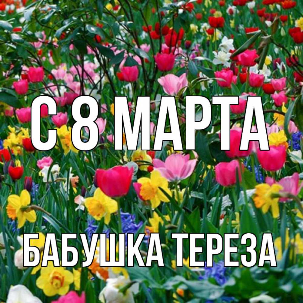 Открытка на каждый день с именем, Бабушка-Тереза С 8 МАРТА с международным женским днем поздравления для женщины Прикольная открытка с пожеланием онлайн скачать бесплатно 