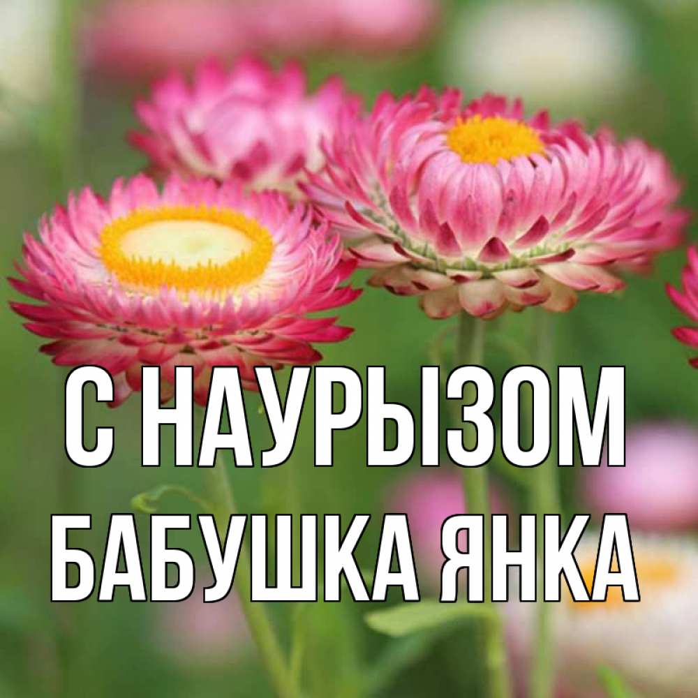Открытка на каждый день с именем, Бабушка-Янка С наурызом подарок на международный женский день Прикольная открытка с пожеланием онлайн скачать бесплатно 