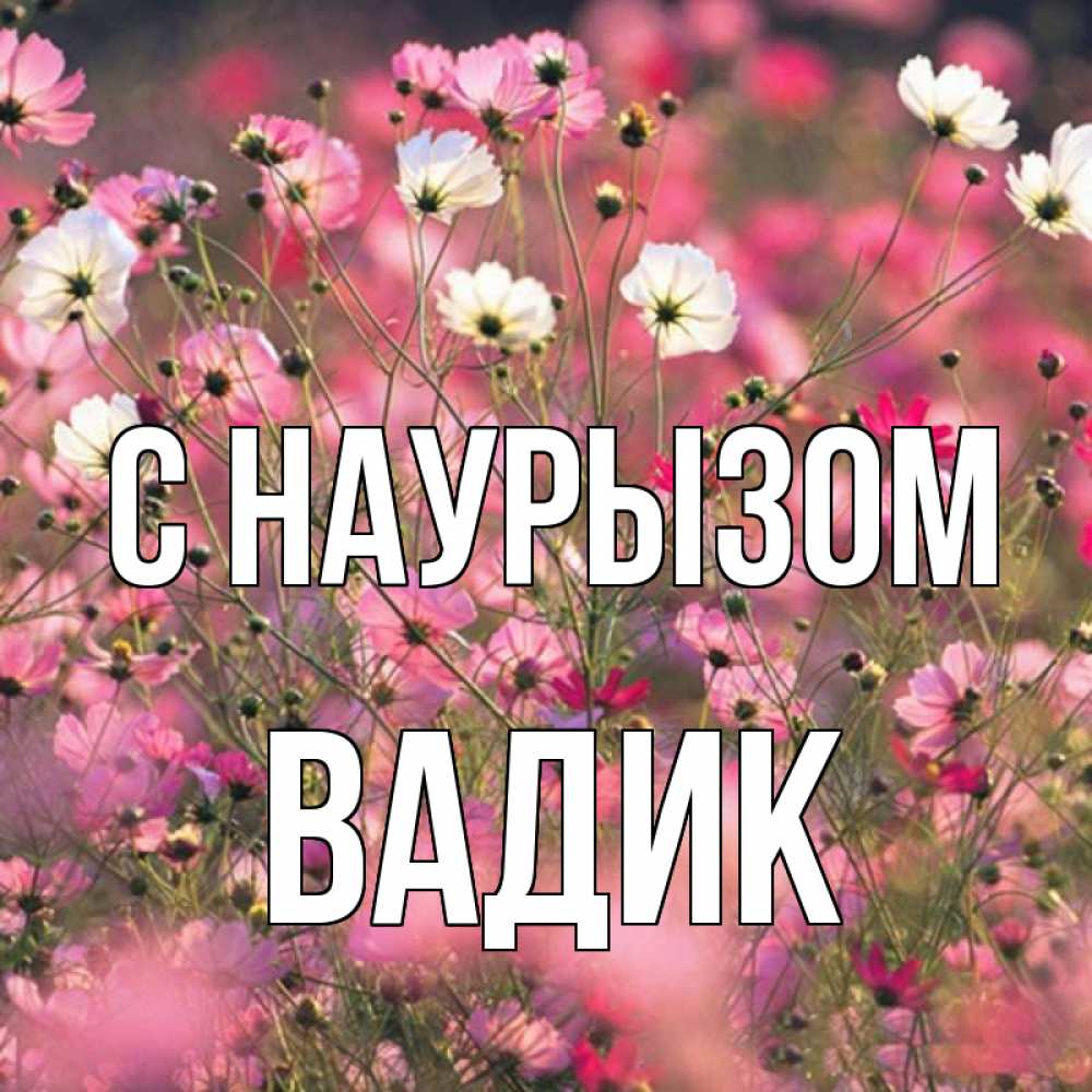 Открытка на каждый день с именем, Вадик С наурызом красиво 1 Прикольная открытка с пожеланием онлайн скачать бесплатно 
