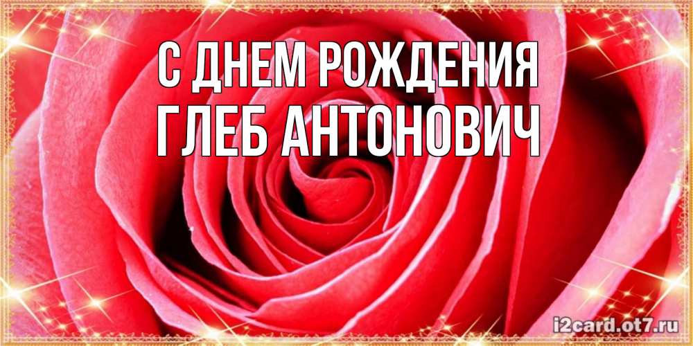 Открытка на каждый день с именем, Глеб-Антонович С днем рождения розовая роза очень крупный бутон Прикольная открытка с пожеланием онлайн скачать бесплатно 