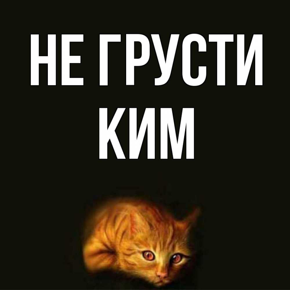Открытка на каждый день с именем, Ким Не грусти лежащий кот в темноте Прикольная открытка с пожеланием онлайн скачать бесплатно 