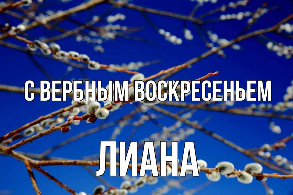 Открытка на каждый день с именем, Лиана С вербным воскресеньем верба Прикольная открытка с пожеланием онлайн скачать бесплатно 