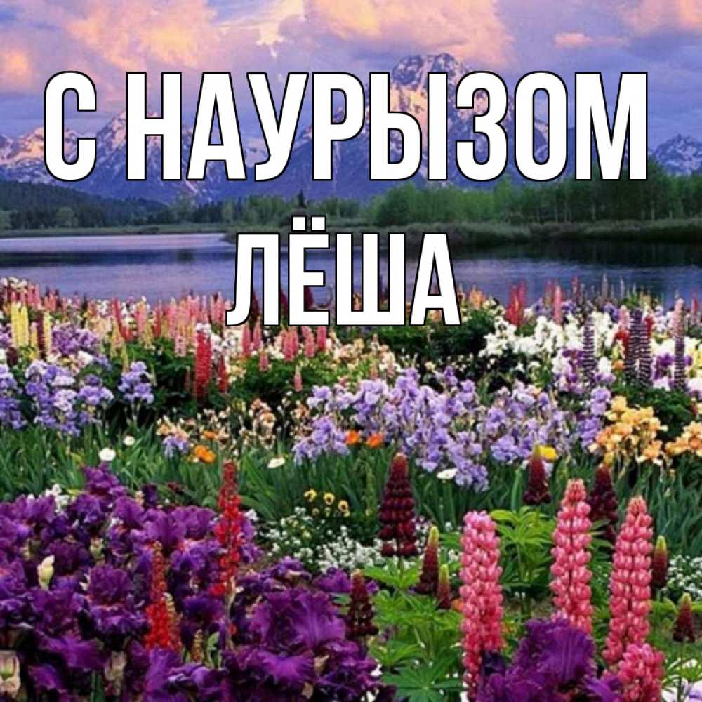 Открытка на каждый день с именем, Лёша С наурызом праздник весны наурыз Прикольная открытка с пожеланием онлайн скачать бесплатно 