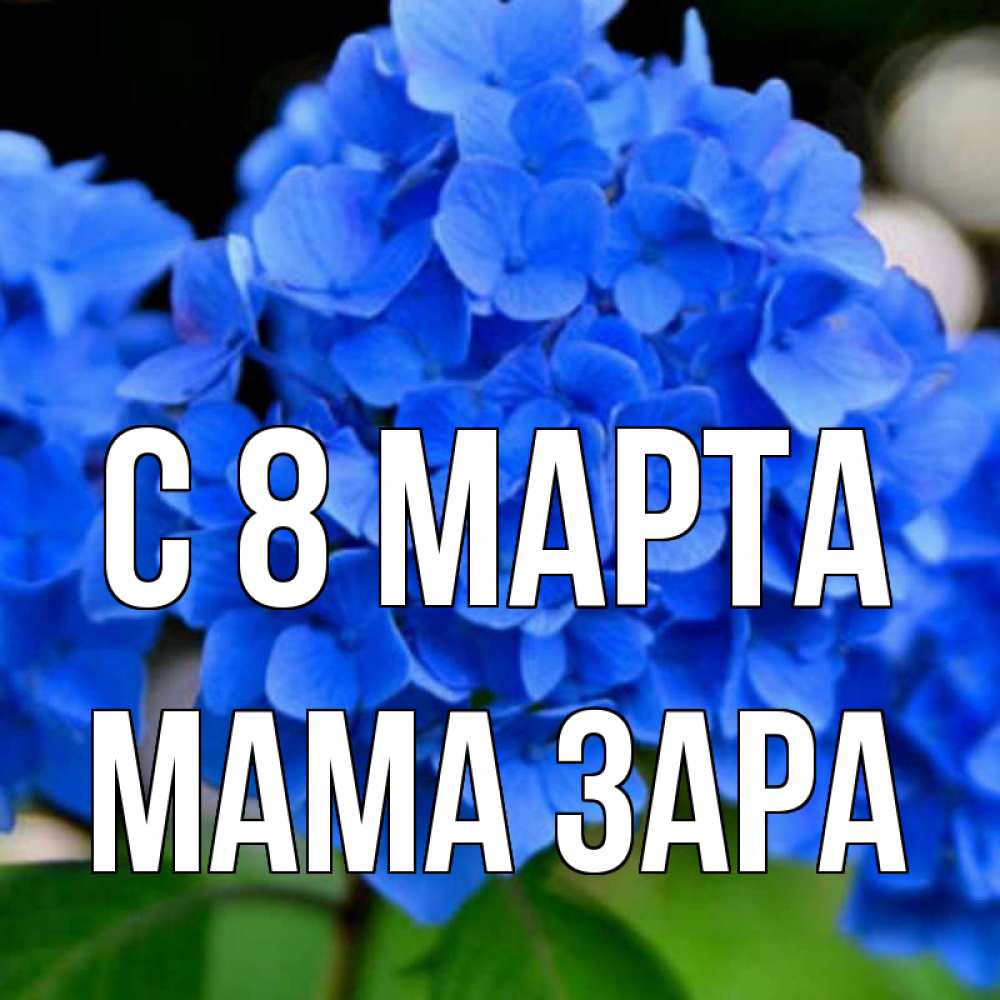 Картинка С 8 МАРТА, Мама Зара