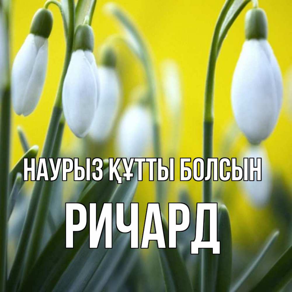 Открытка на каждый день с именем, Ричард Наурыз құтты болсын весенние цветы Прикольная открытка с пожеланием онлайн скачать бесплатно 
