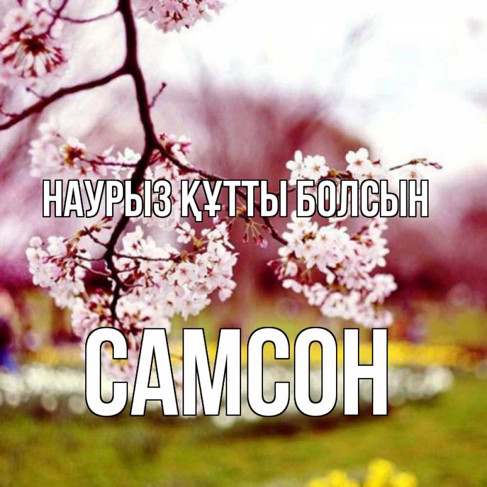 Открытка на каждый день с именем, Самсон Наурыз құтты болсын яблоня Прикольная открытка с пожеланием онлайн скачать бесплатно 