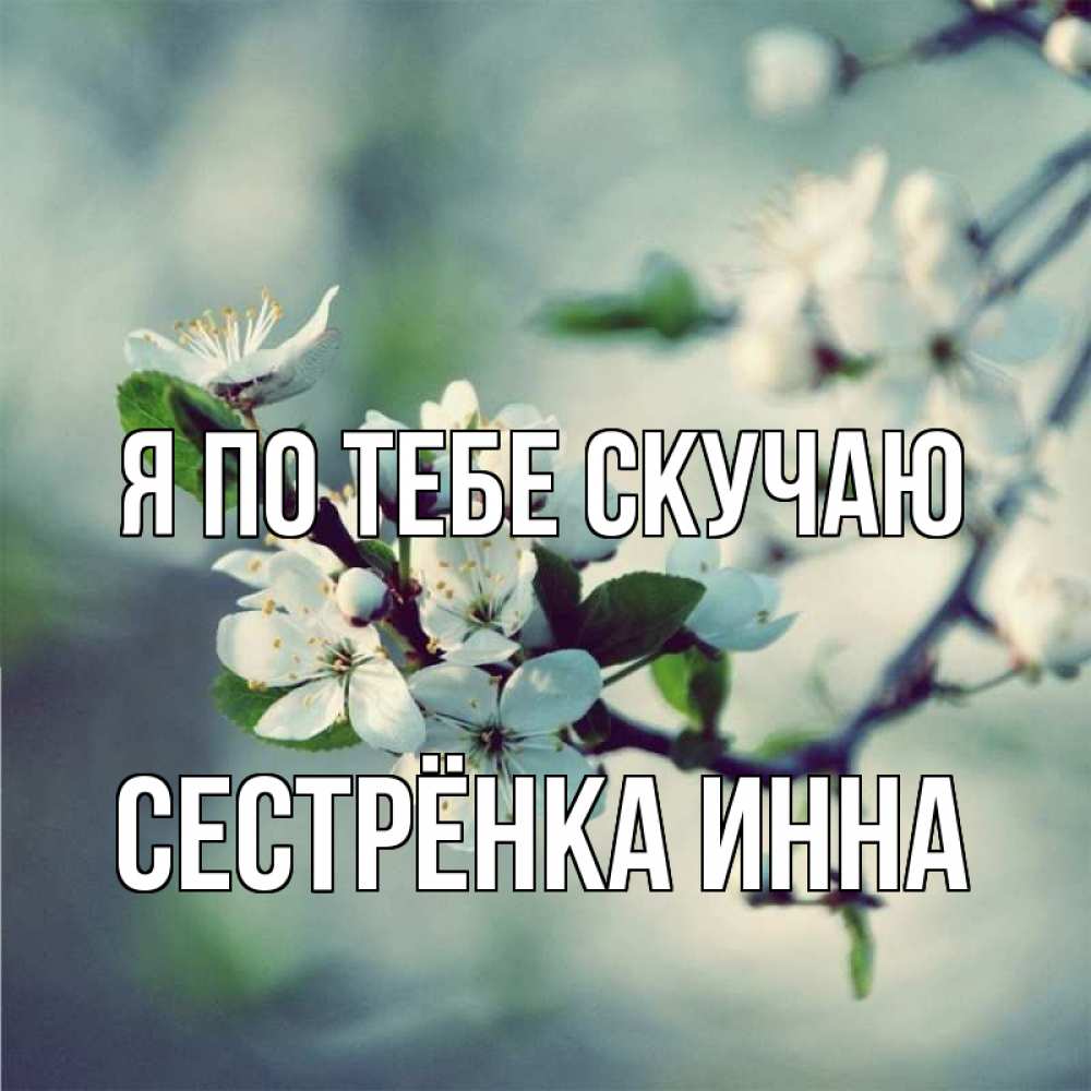 Открытка на каждый день с именем, Сестрёнка-Инна Я по тебе скучаю весна Прикольная открытка с пожеланием онлайн скачать бесплатно 