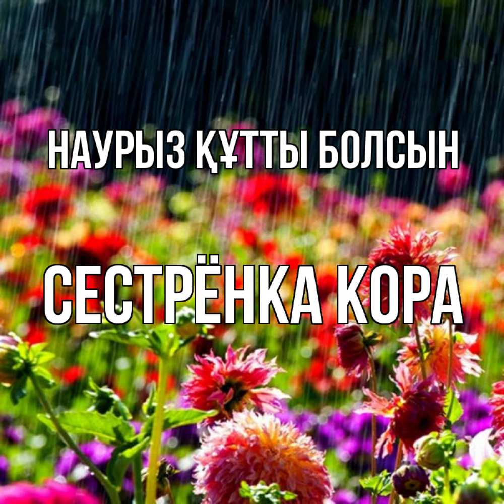 Открытка на каждый день с именем, Сестрёнка-Кора Наурыз құтты болсын цветы под дождиком к наурызу Прикольная открытка с пожеланием онлайн скачать бесплатно 