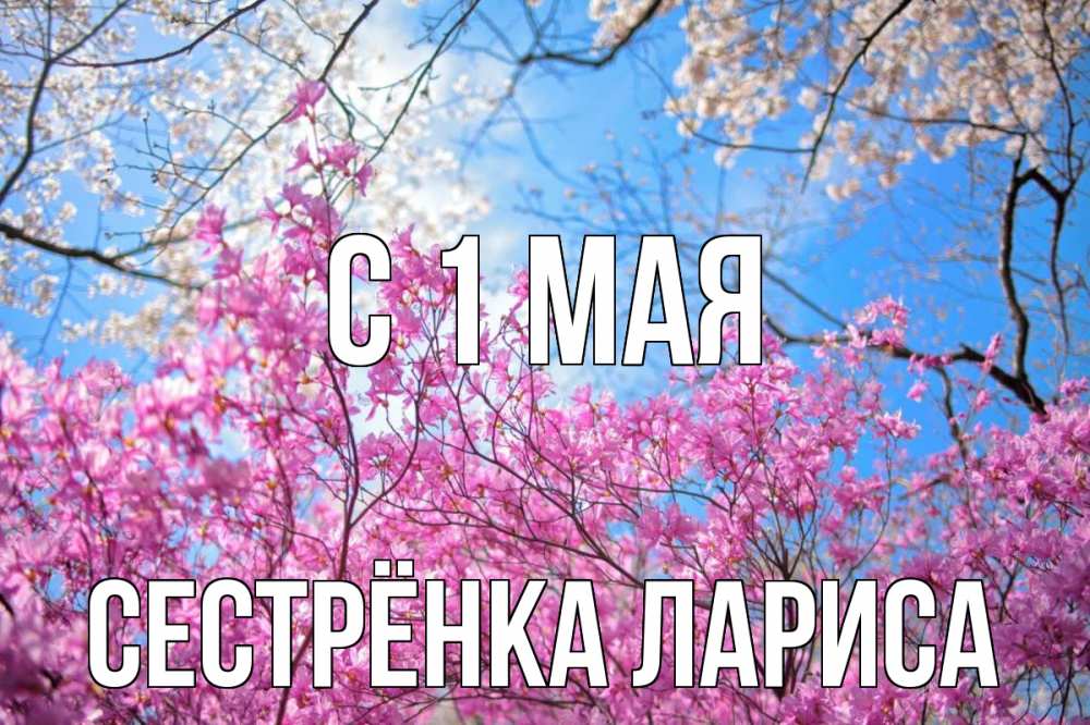 Открытка на каждый день с именем, Сестрёнка-Лариса С 1 мая С 1 мая Прикольная открытка с пожеланием онлайн скачать бесплатно 