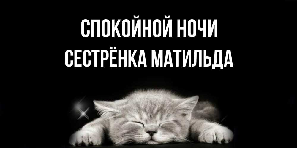 Открытка на каждый день с именем, Сестрёнка-Матильда Спокойной ночи спящий котик Прикольная открытка с пожеланием онлайн скачать бесплатно 