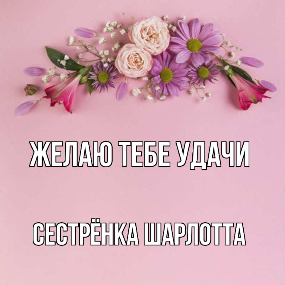 Открытка на каждый день с именем, Сестрёнка-Шарлотта Желаю тебе удачи розовый фон Прикольная открытка с пожеланием онлайн скачать бесплатно 