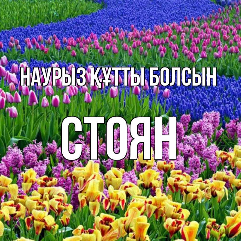 Открытка на каждый день с именем, Стоян Наурыз құтты болсын цветы Прикольная открытка с пожеланием онлайн скачать бесплатно 