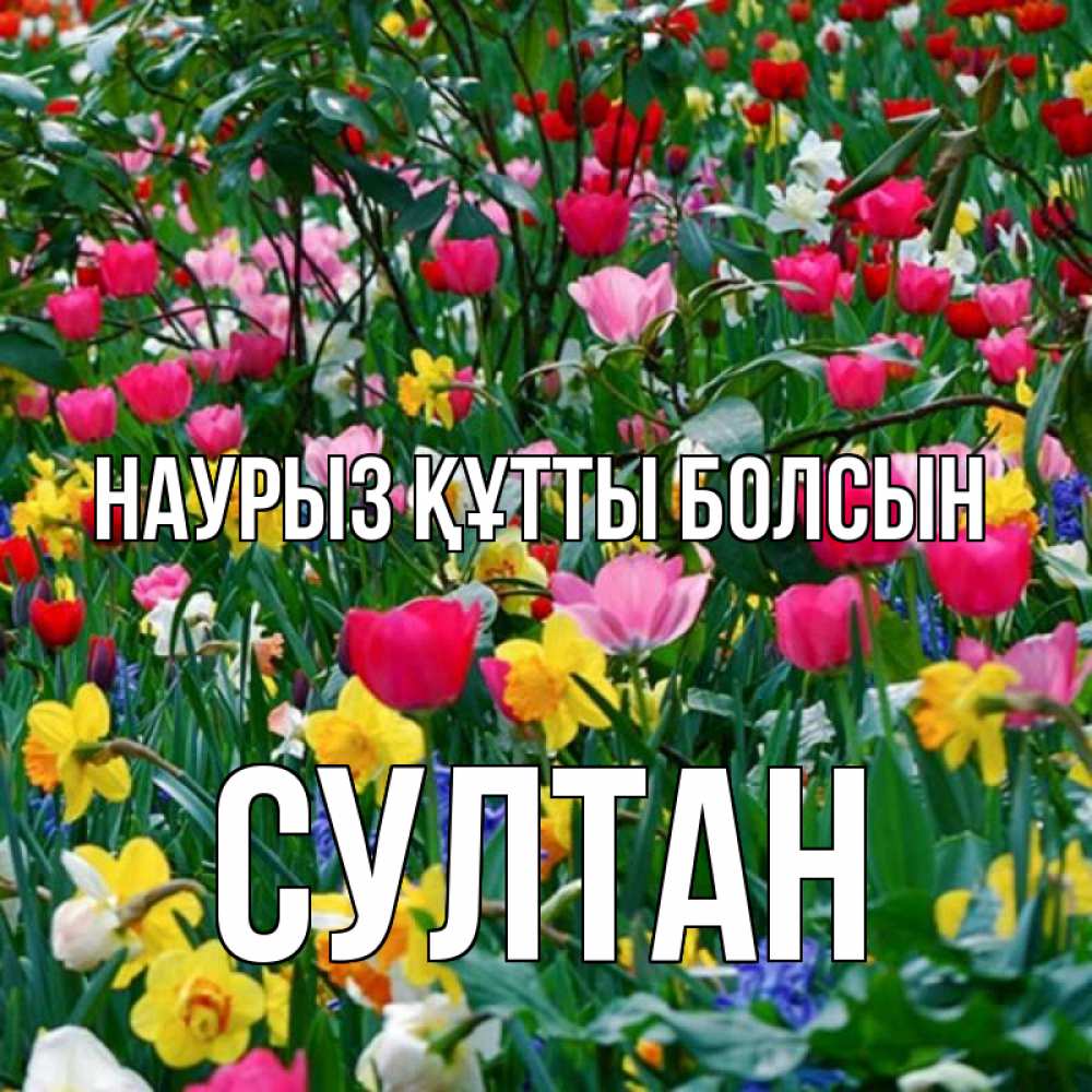 Открытка на каждый день с именем, Султан Наурыз құтты болсын с наурызом поздравления для женщины Прикольная открытка с пожеланием онлайн скачать бесплатно 