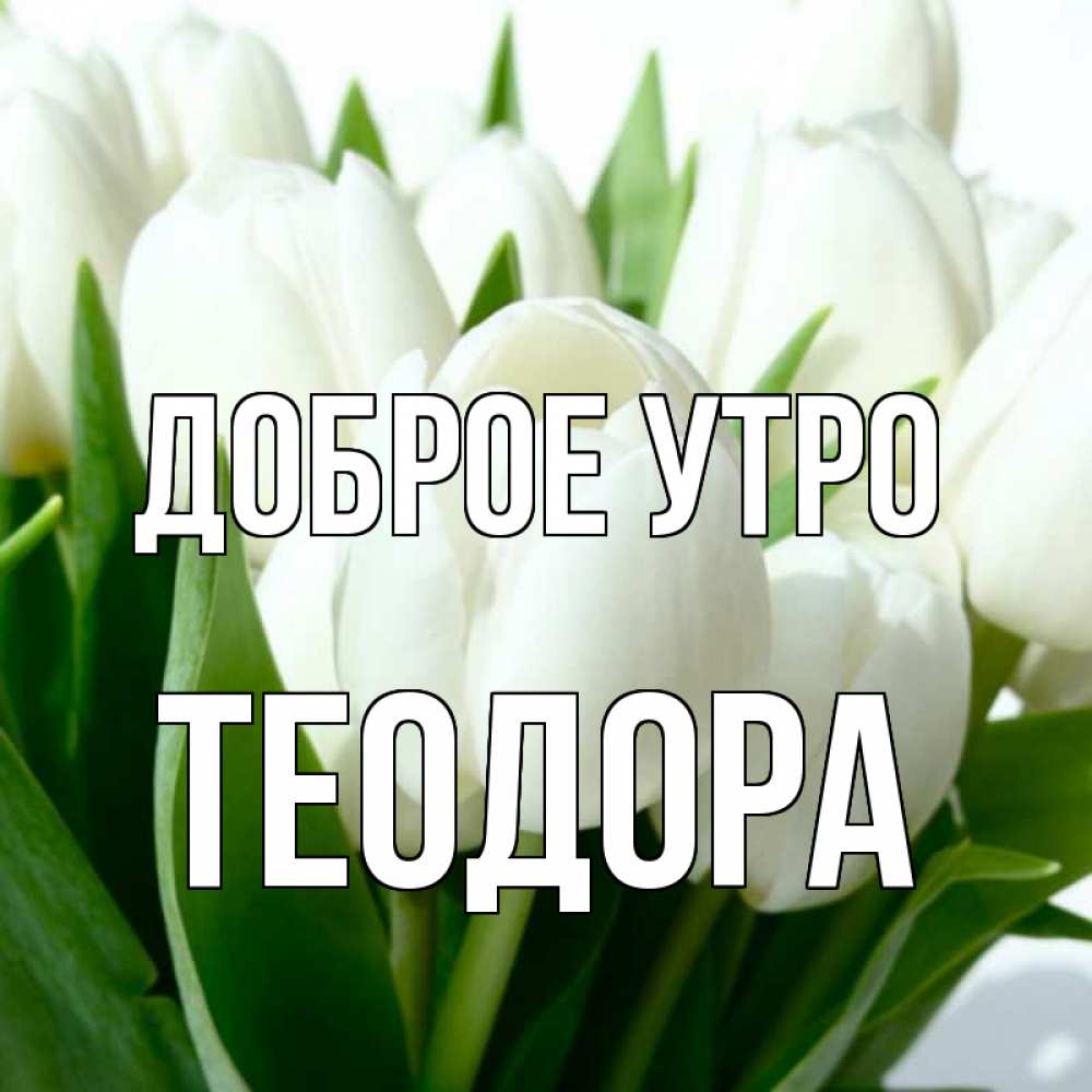 Открытка на каждый день с именем, Теодора Доброе утро открытки на каждый день по именам Прикольная открытка с пожеланием онлайн скачать бесплатно 