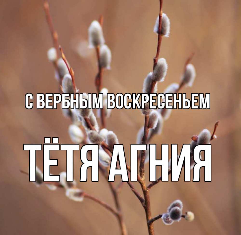 Открытка на каждый день с именем, Тётя-Агния С вербным воскресеньем верба Прикольная открытка с пожеланием онлайн скачать бесплатно 