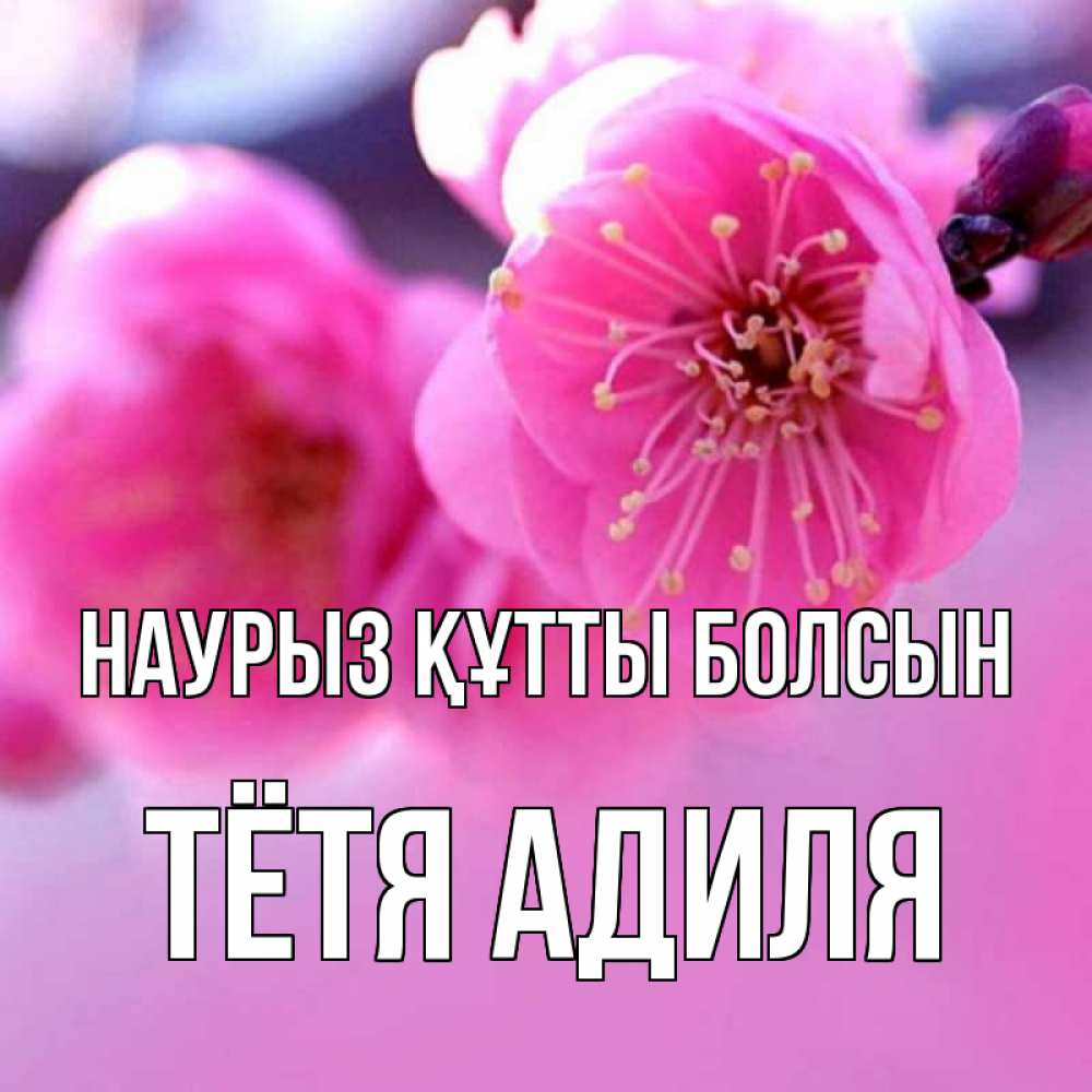 Открытка на каждый день с именем, Тётя-Адиля Наурыз құтты болсын наурыз мейрам Прикольная открытка с пожеланием онлайн скачать бесплатно 