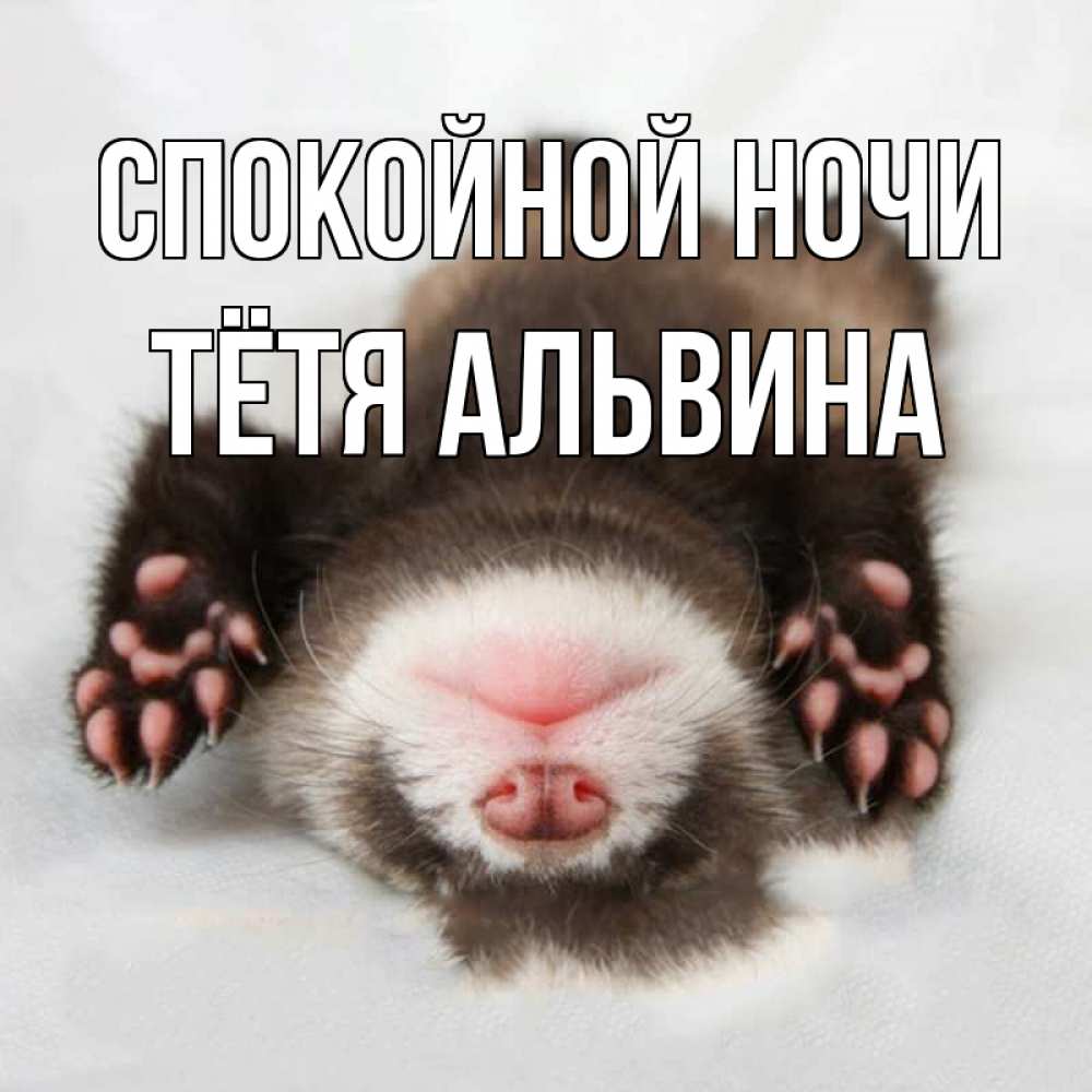 Открытка на каждый день с именем, Тётя-Альвина Спокойной ночи зверек Прикольная открытка с пожеланием онлайн скачать бесплатно 