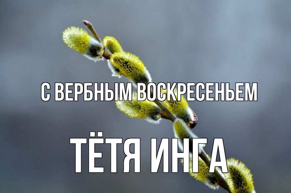 Открытка на каждый день с именем, Тётя-Инга С вербным воскресеньем верба Прикольная открытка с пожеланием онлайн скачать бесплатно 
