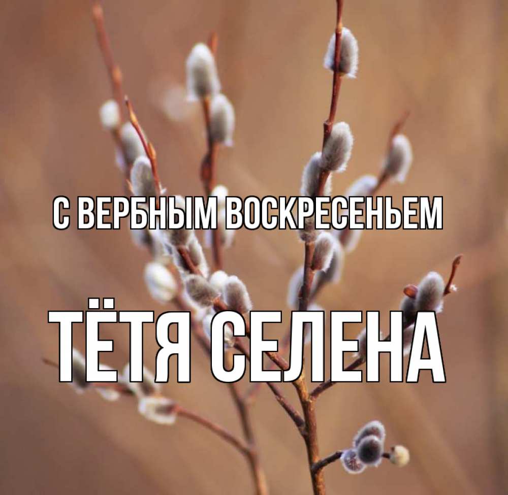 Открытка на каждый день с именем, Тётя-Селена С вербным воскресеньем верба Прикольная открытка с пожеланием онлайн скачать бесплатно 