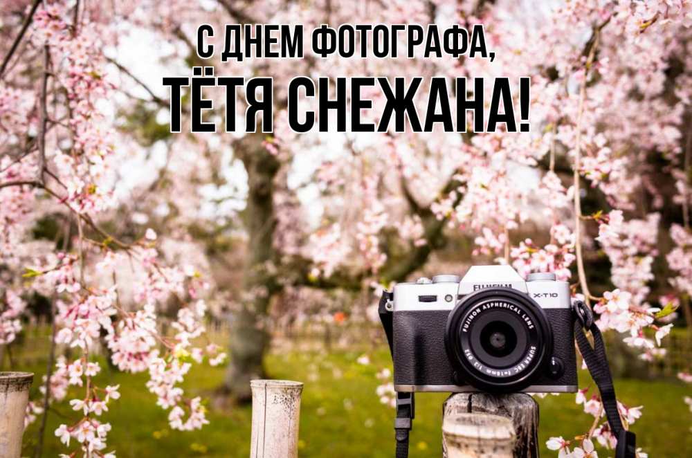 Открытка на каждый день с именем, Тётя-Снежана С днем фотографа сирень с днем фотографа, фотоаппарат Прикольная открытка с пожеланием онлайн скачать бесплатно 