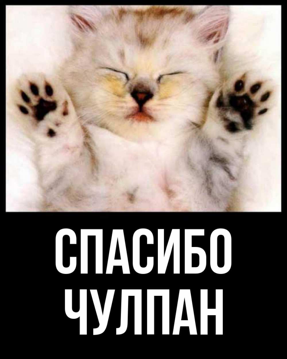 Открытка на каждый день с именем, Чулпан Спасибо маленький котенок Прикольная открытка с пожеланием онлайн скачать бесплатно 