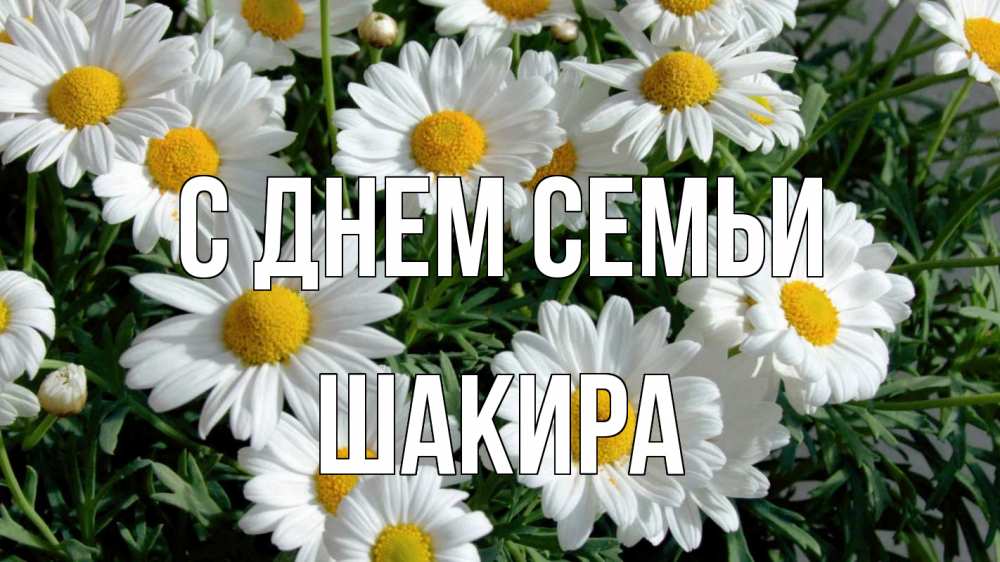 Открытка на каждый день с именем, Шакира С днем семьи с днем семьи Прикольная открытка с пожеланием онлайн скачать бесплатно 