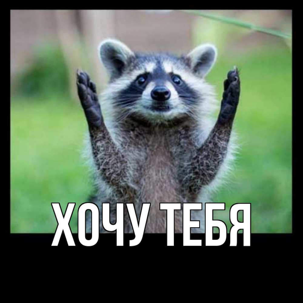 Картинка  с именем , Хочу тебя