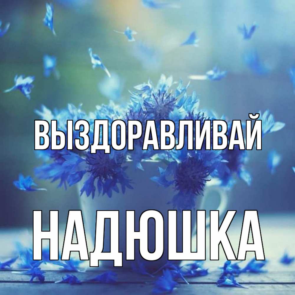 полностью заменят открытка надюшка выздоравливай разбираться чем отличаются