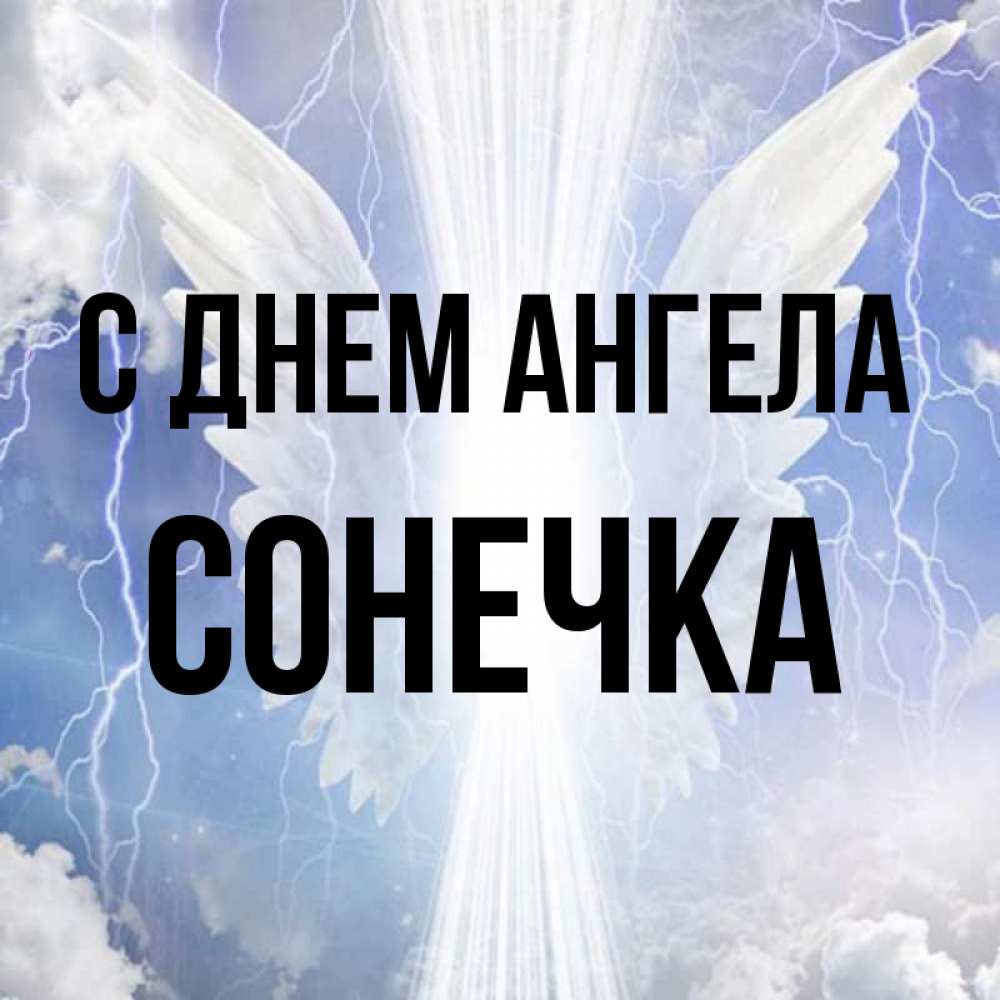 Картинки с именем софья смешные