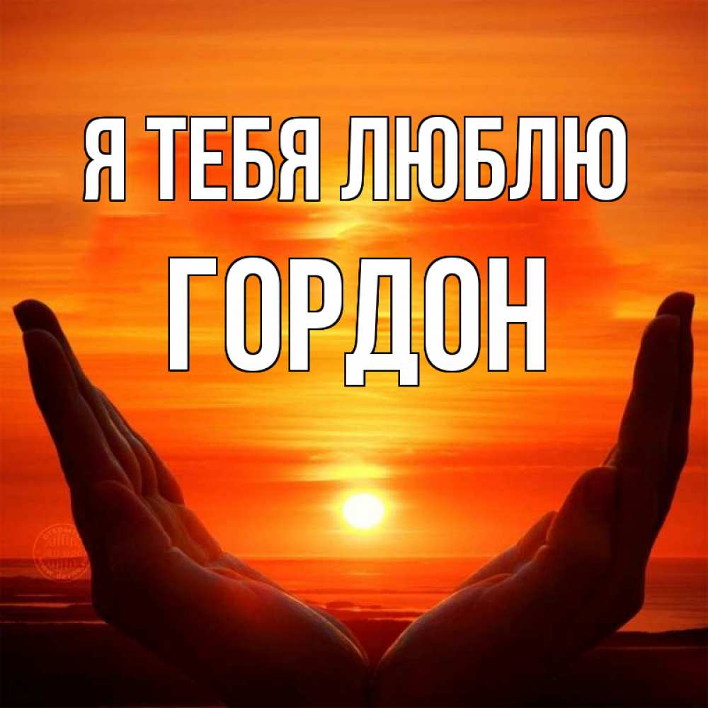 Открытка на каждый день с именем, Гордон Я тебя люблю в руках Прикольная открытка с пожеланием онлайн скачать бесплатно 