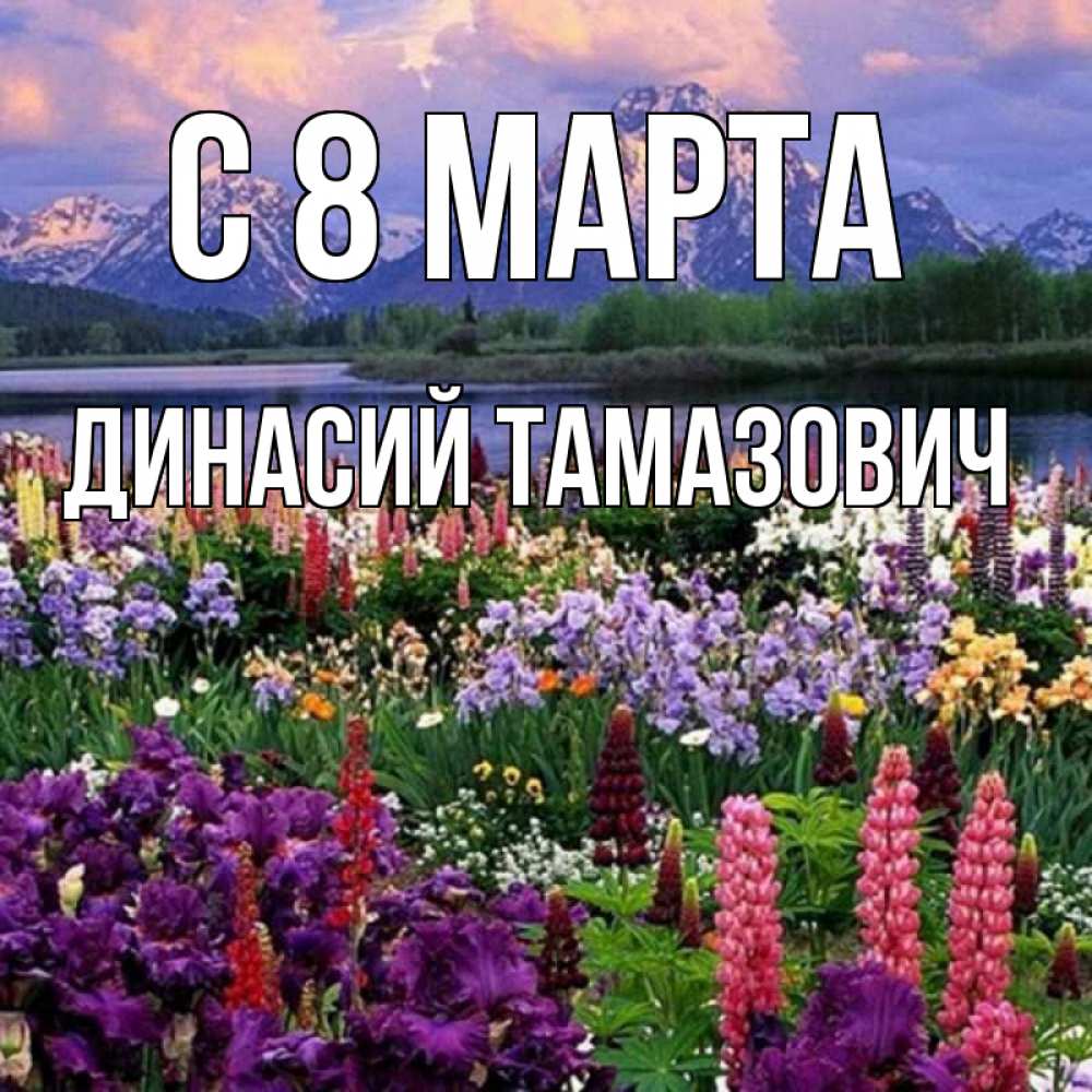 Картинка С 8 МАРТА, Динасий Тамазович