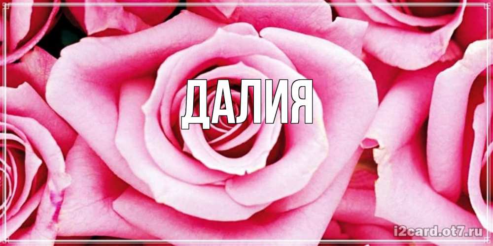 Картинка  с именем , Далия