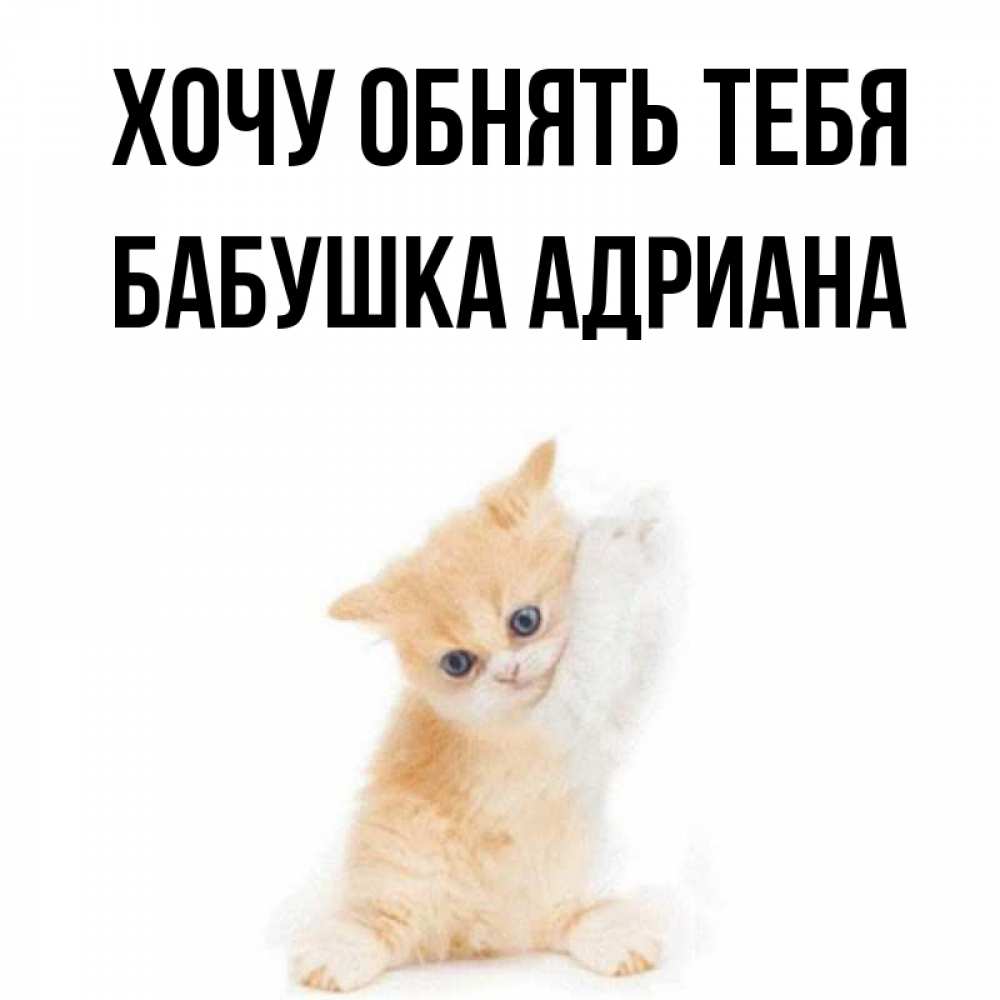 Открытка на каждый день с именем, Бабушка-Адриана Хочу обнять тебя я хочу очень скорее обнимаешек Прикольная открытка с пожеланием онлайн скачать бесплатно 
