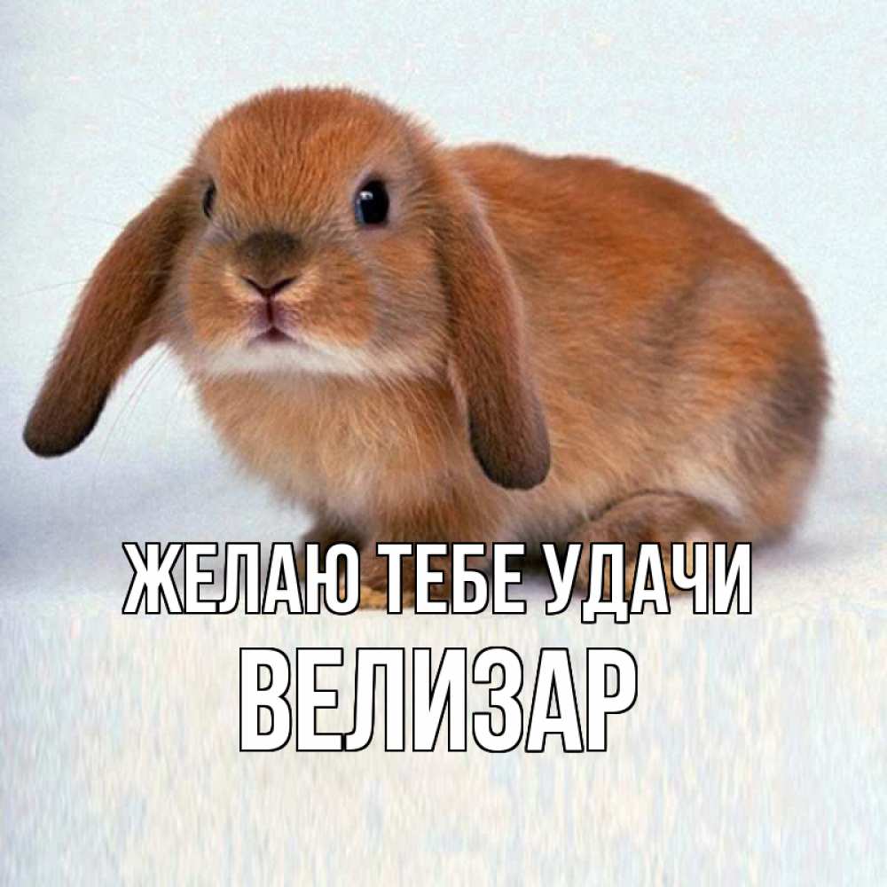 Открытка на каждый день с именем, Велизар Желаю тебе удачи вставить текст в открытку по выбору Прикольная открытка с пожеланием онлайн скачать бесплатно 