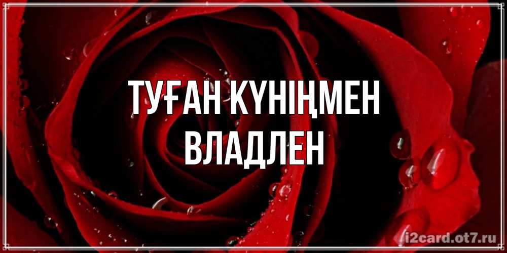Открытка на каждый день с именем, Владлен Туған күніңмен крупная бордовая роза Прикольная открытка с пожеланием онлайн скачать бесплатно 