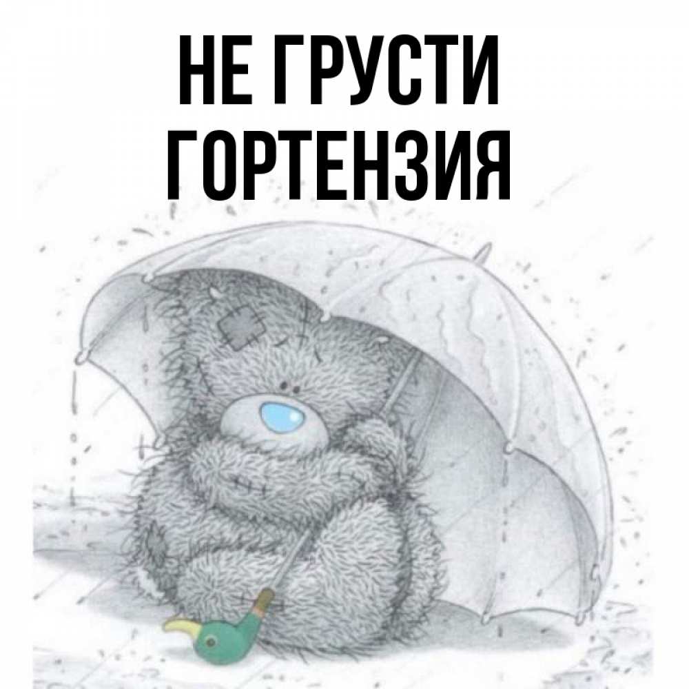 Открытка на каждый день с именем, Гортензия Не грусти спасите мишку Тедди Прикольная открытка с пожеланием онлайн скачать бесплатно 