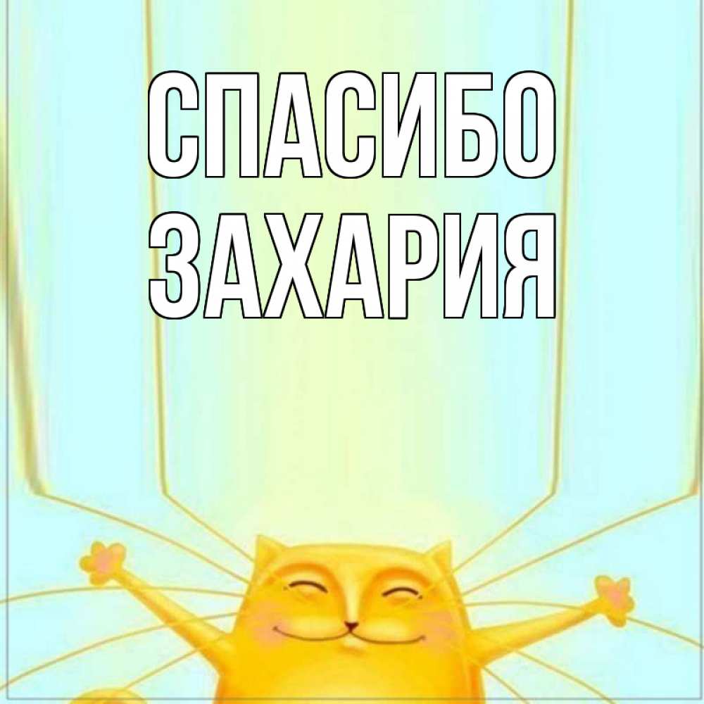 Открытка на каждый день с именем, Захария Спасибо кот с усами благодарит Прикольная открытка с пожеланием онлайн скачать бесплатно 
