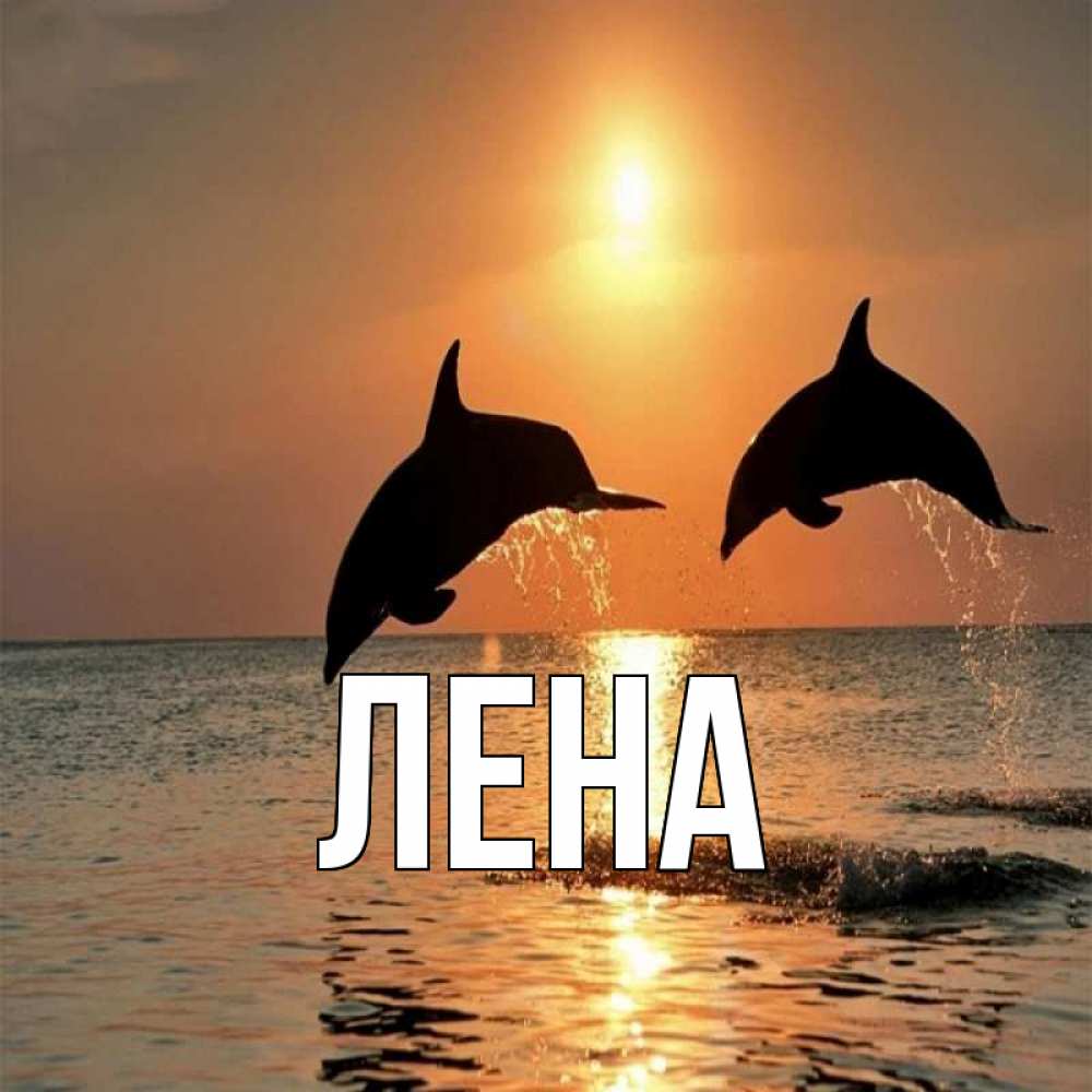 Открытка на каждый день с именем, Лена Главная рыбы на закате Прикольная открытка с пожеланием онлайн скачать бесплатно 
