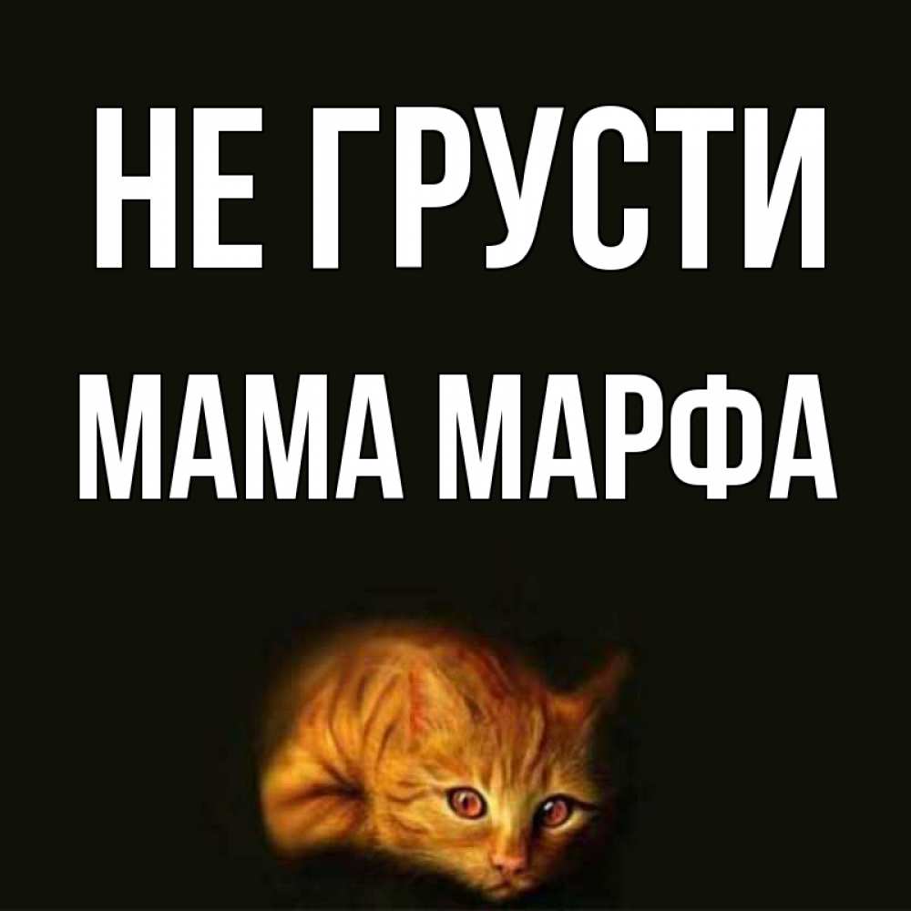 Открытка на каждый день с именем, Мама-Марфа Не грусти лежащий кот в темноте Прикольная открытка с пожеланием онлайн скачать бесплатно 