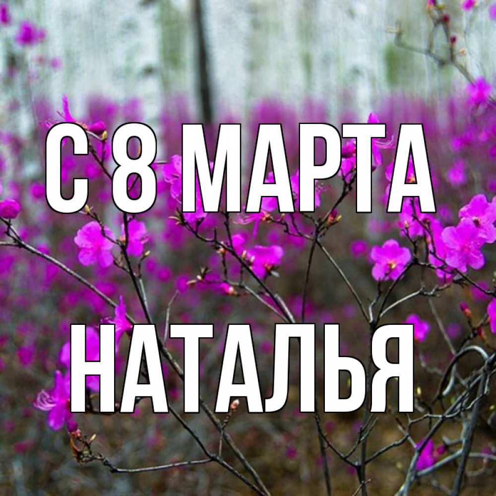 Открытка на каждый день с именем, НАТАЛЬЯ С 8 марта дикие цветы Прикольная открытка с пожеланием онлайн скачать бесплатно 