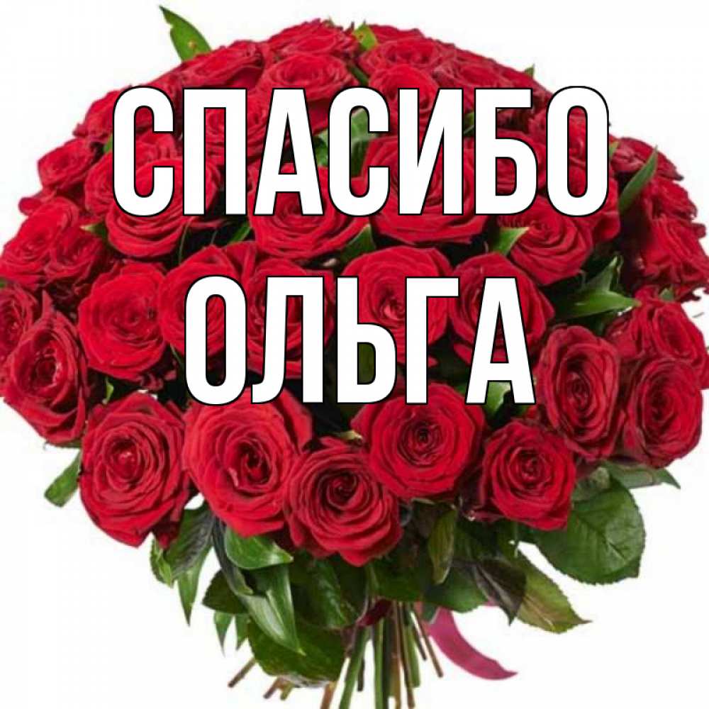 Открытка на каждый день с именем, Ольга Спасибо букет красных роз Прикольная открытка с пожеланием онлайн скачать бесплатно 