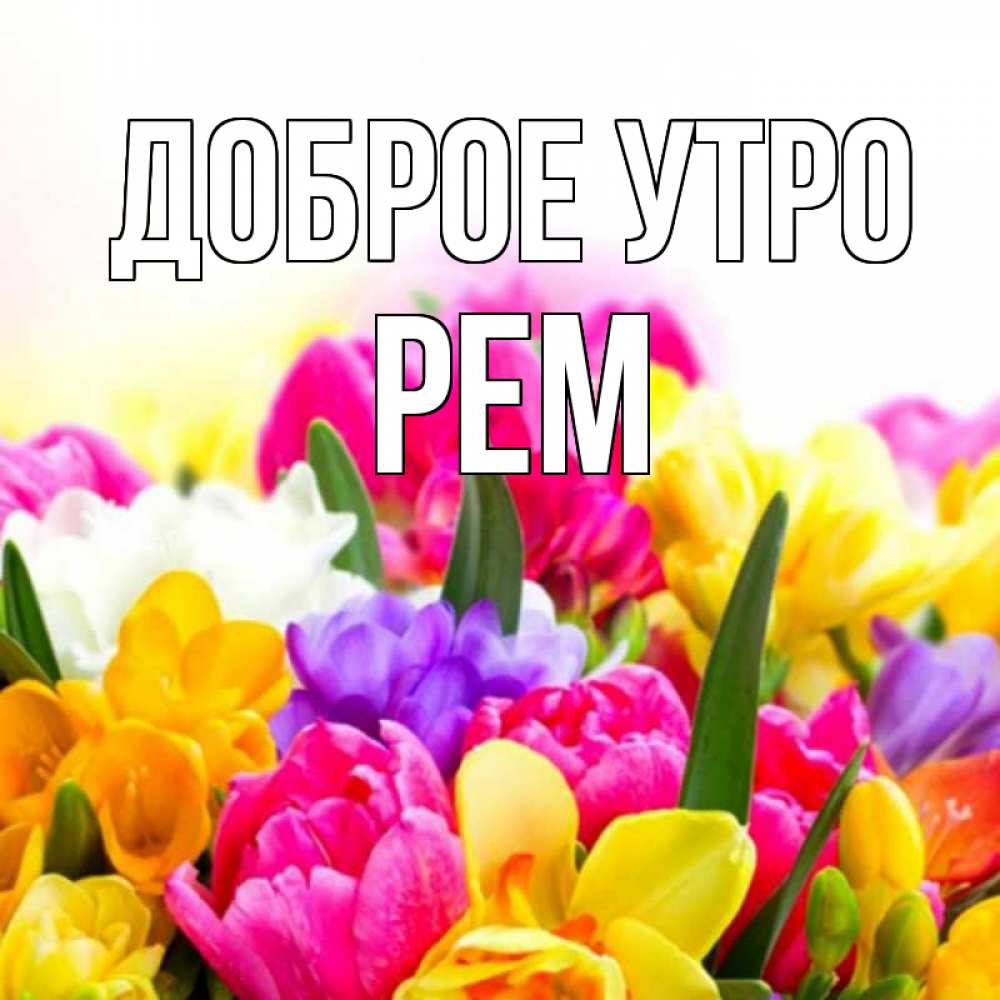 Открытка на каждый день с именем, Рем Доброе утро создать открытку со свое подписью Прикольная открытка с пожеланием онлайн скачать бесплатно 
