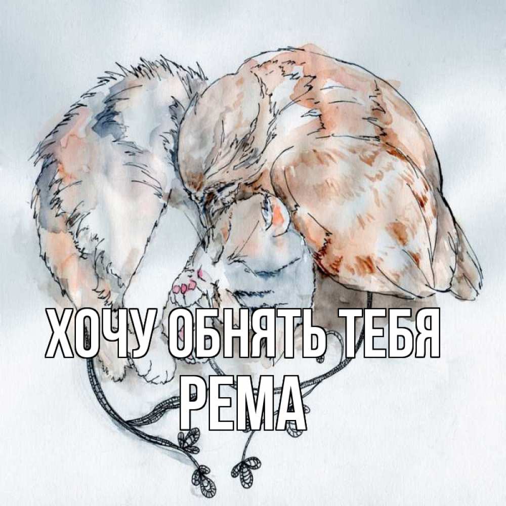 Открытка на каждый день с именем, Рема Хочу обнять тебя можно быть вместе даже когда очень разные Прикольная открытка с пожеланием онлайн скачать бесплатно 