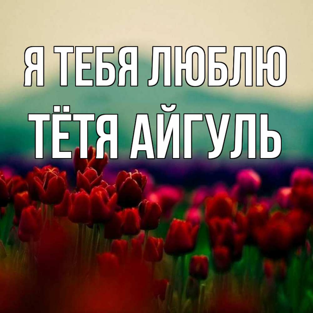 Открытка на каждый день с именем, Тётя-Айгуль Я тебя люблю тюльпаны 4 Прикольная открытка с пожеланием онлайн скачать бесплатно 