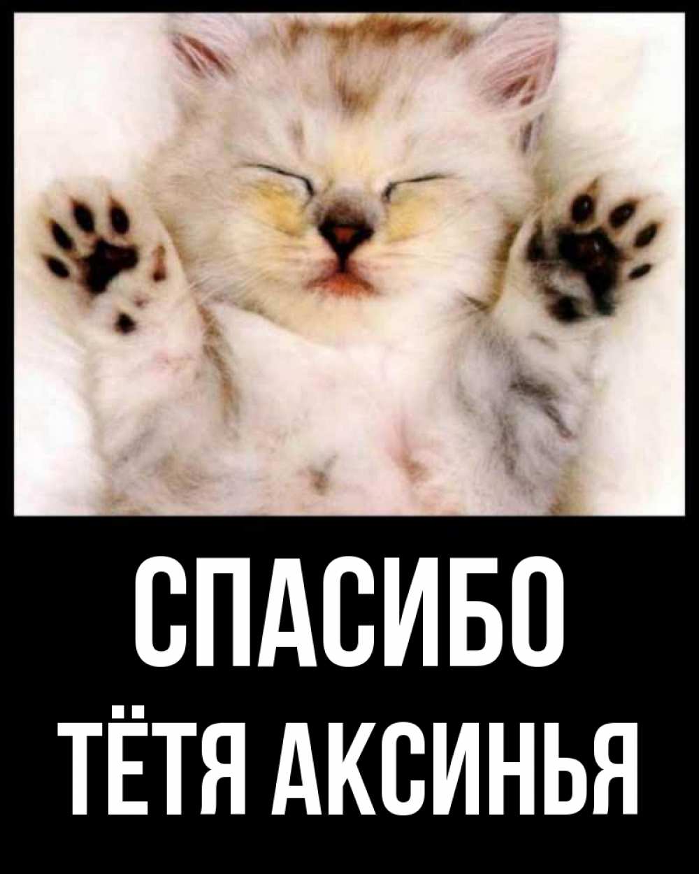 Открытка на каждый день с именем, Тётя-Аксинья Спасибо маленький котенок Прикольная открытка с пожеланием онлайн скачать бесплатно 
