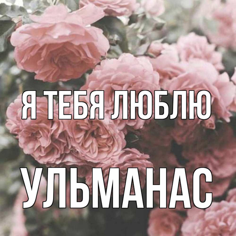 Открытка на каждый день с именем, Ульманас Я тебя люблю розы 3 Прикольная открытка с пожеланием онлайн скачать бесплатно 