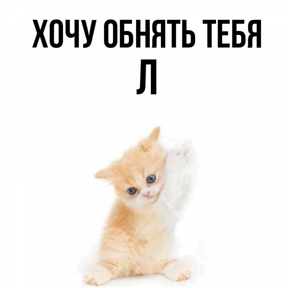 Хочешь л