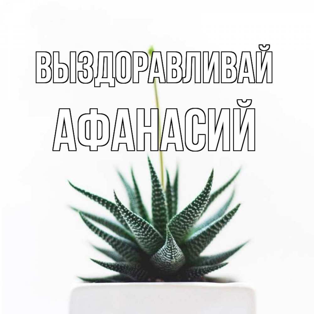 Открытка на каждый день с именем, Афанасий Выздоравливай короче это непонятная колючка Прикольная открытка с пожеланием онлайн скачать бесплатно 