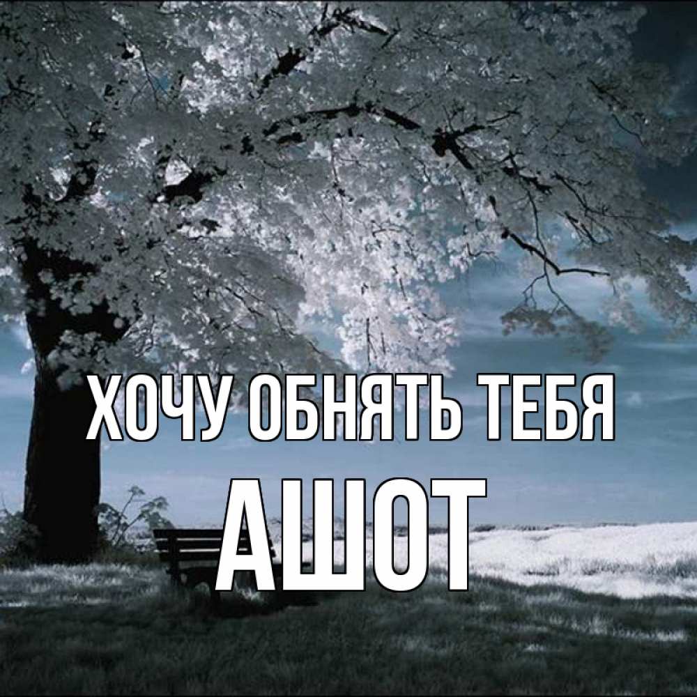Открытка на каждый день с именем, Ашот Хочу обнять тебя дерево Прикольная открытка с пожеланием онлайн скачать бесплатно 