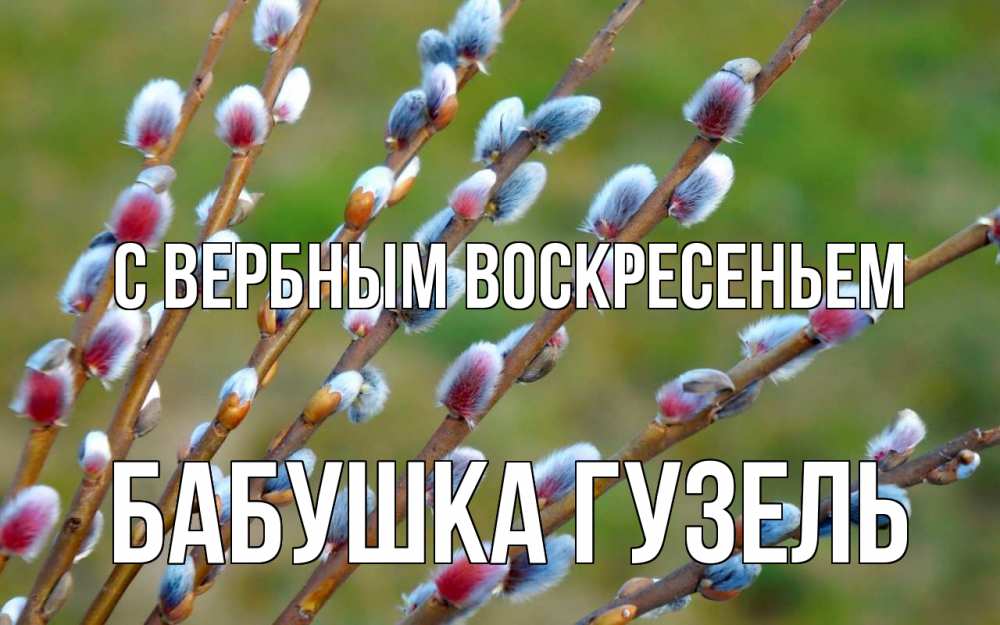 Открытка на каждый день с именем, Бабушка-Гузель С вербным воскресеньем верба Прикольная открытка с пожеланием онлайн скачать бесплатно 